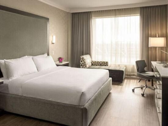 Premium bedding, pillow-top beds, in-room safe, desk