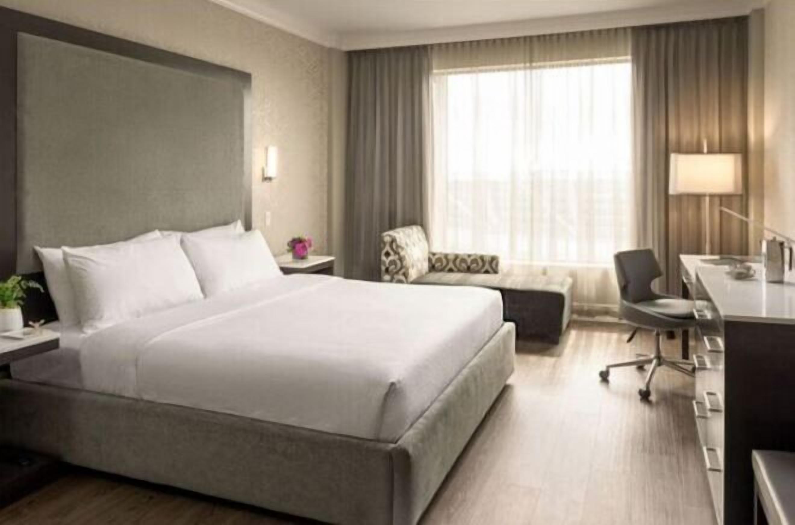 Premium bedding, pillow-top beds, in-room safe, desk