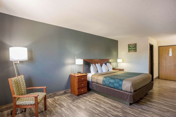 Room, 1 King Bed, Non Smoking | Desk, blackout drapes, iron/ironing board, WiFi (free)