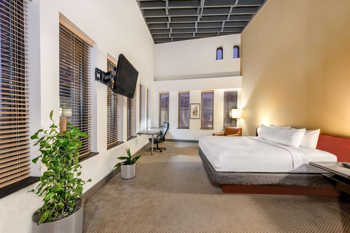 Quarto de hotel com cama, escrivaninha, cadeira, televisão e plantas em vasos.