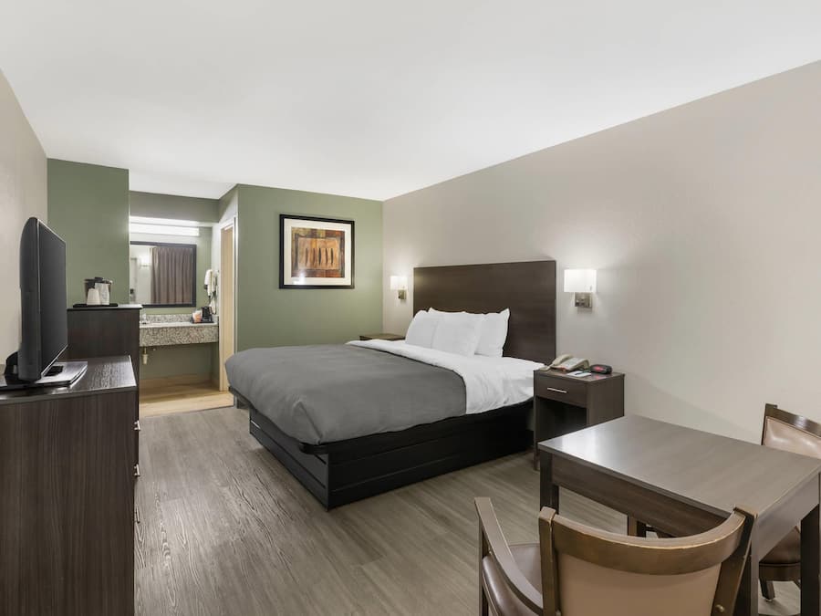Une chambre d’hôtel comprenant un lit, une table de chevet, une chaise, un bureau, une télévision et un tableau au mur.