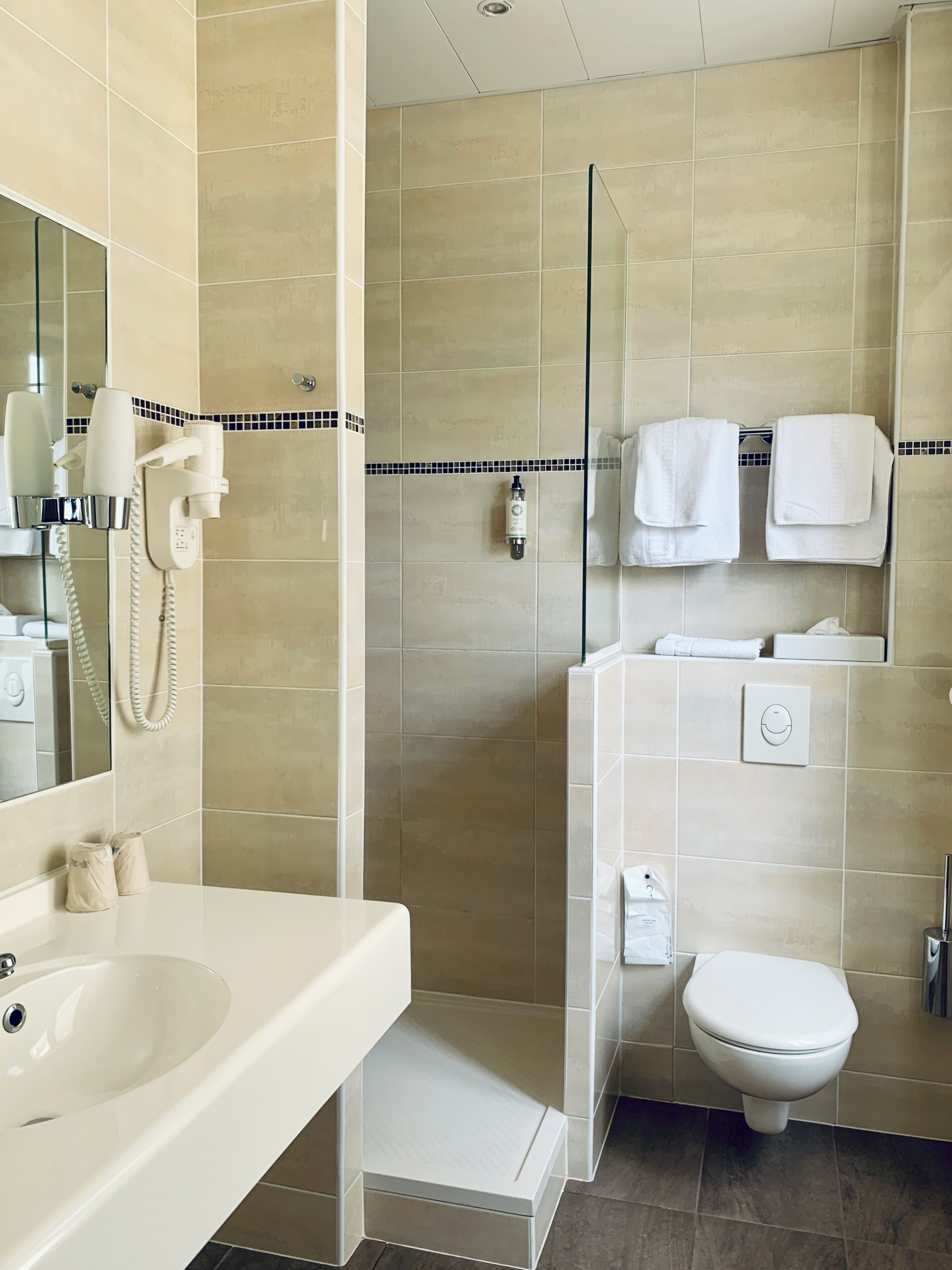 Une salle de bain moderne équipée d’un lavabo, de toilettes et d’une zone douche.