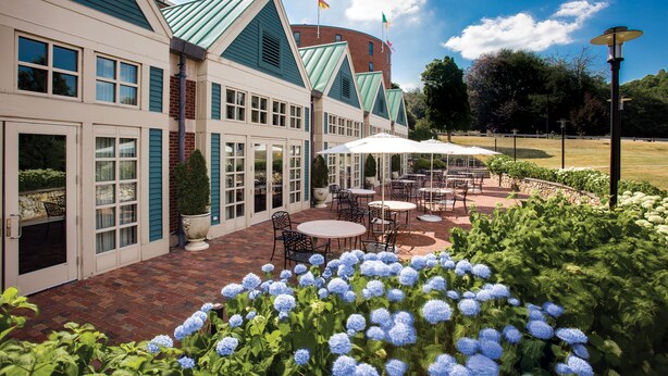 A hotel with a patio area featuring outdoor seating and a garden with blue hydrangea flowers. - Beechwood Hotel (Worcester)
