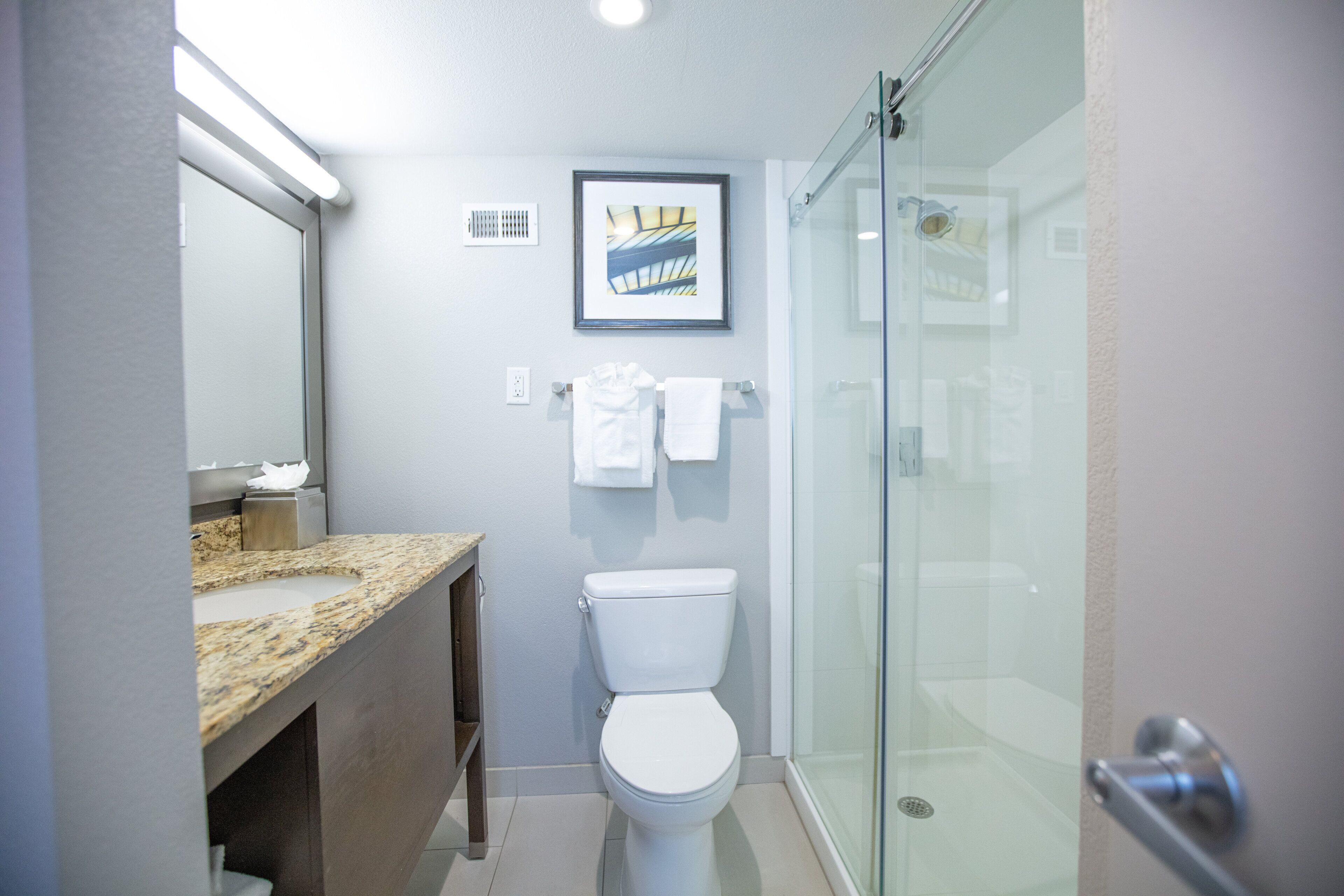 Et moderne badeværelse med bordplade i granit, et hvidt toilet, et billede i ramme på væggen og en brusekabine i glas.