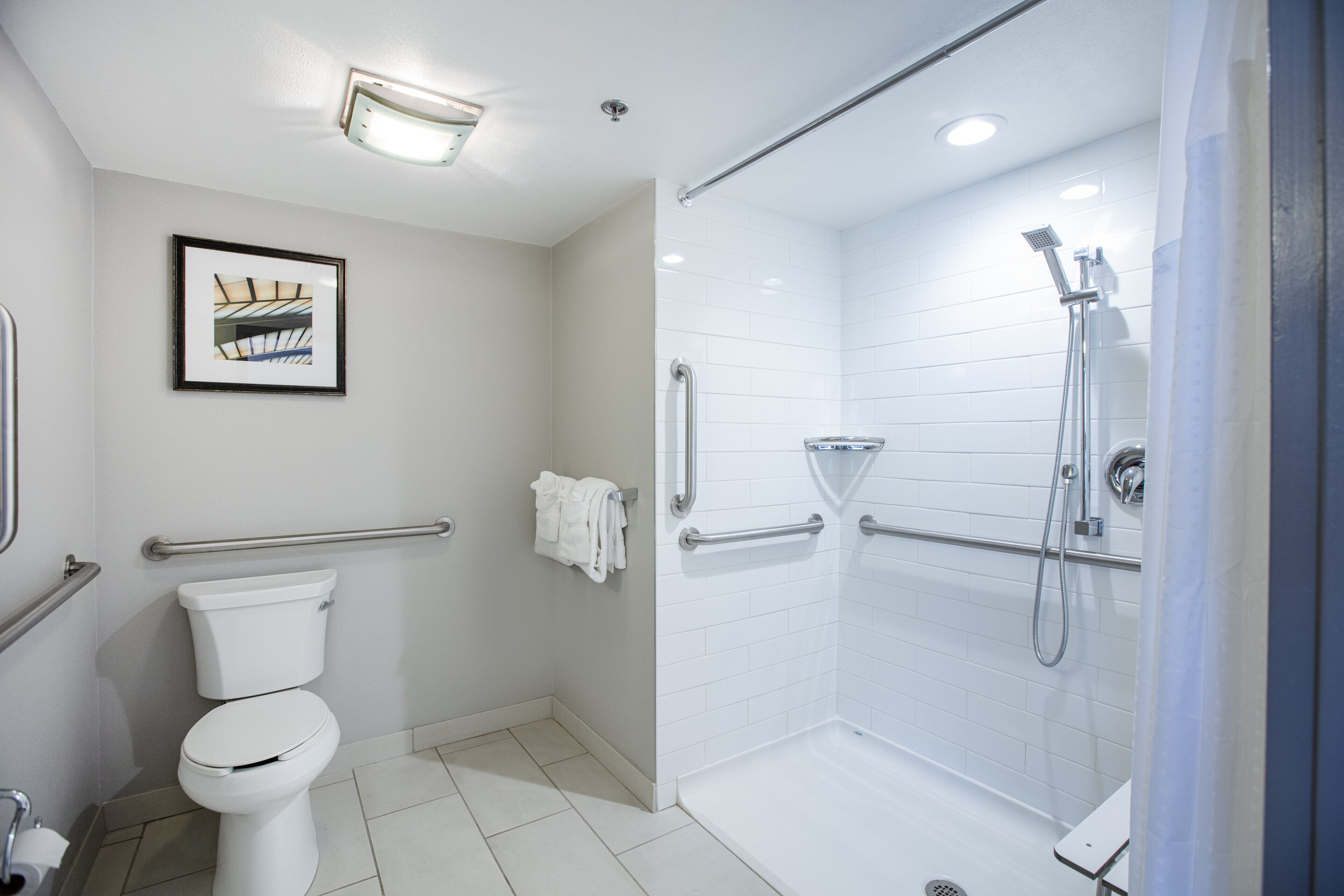 Un bagno moderno con il water, una doccia con maniglie di sostegno e un quadro appeso al muro.
