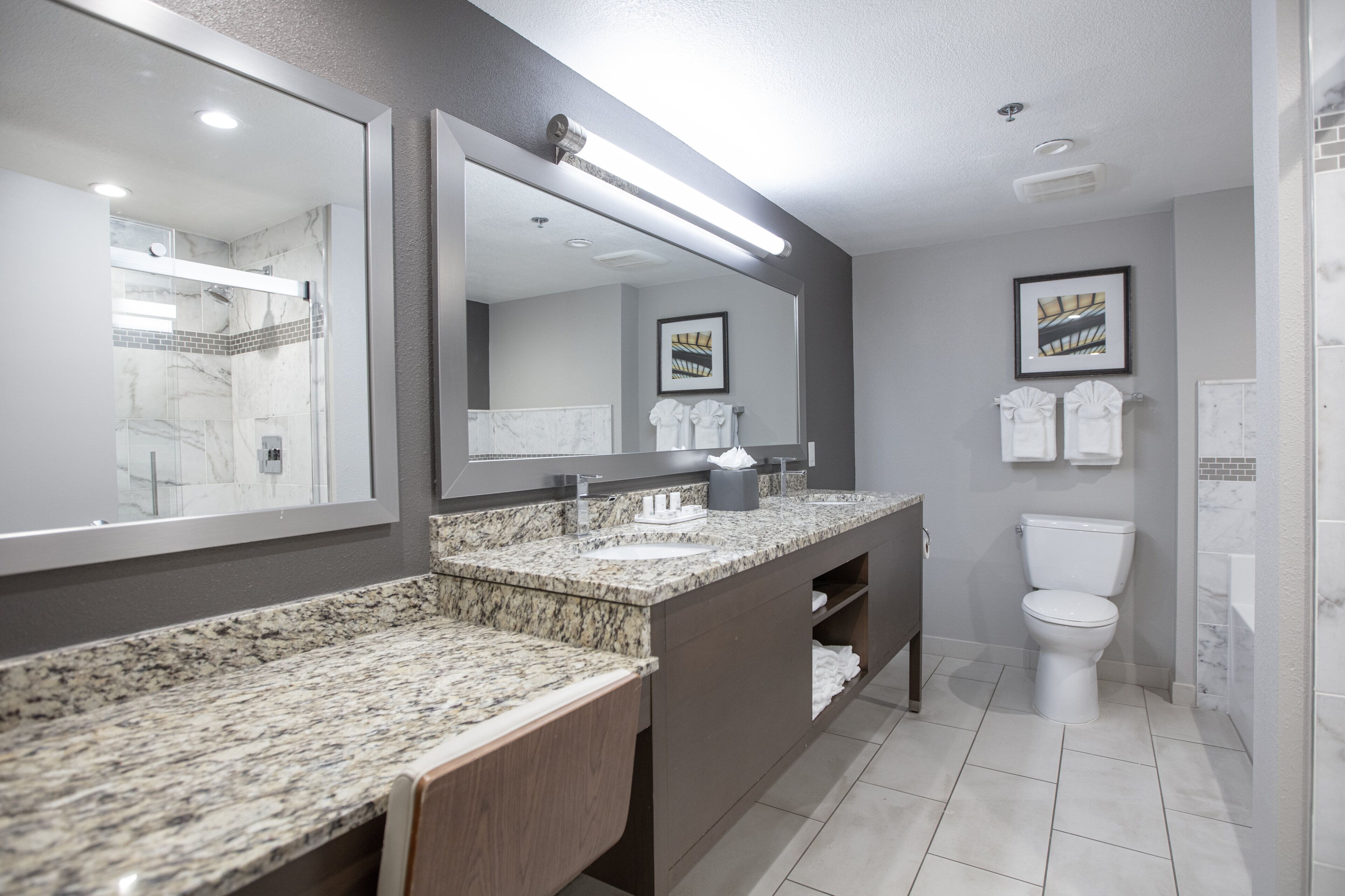 A modern bathroom with a granite countertop, a large mirror, a toilet, and a shower area.