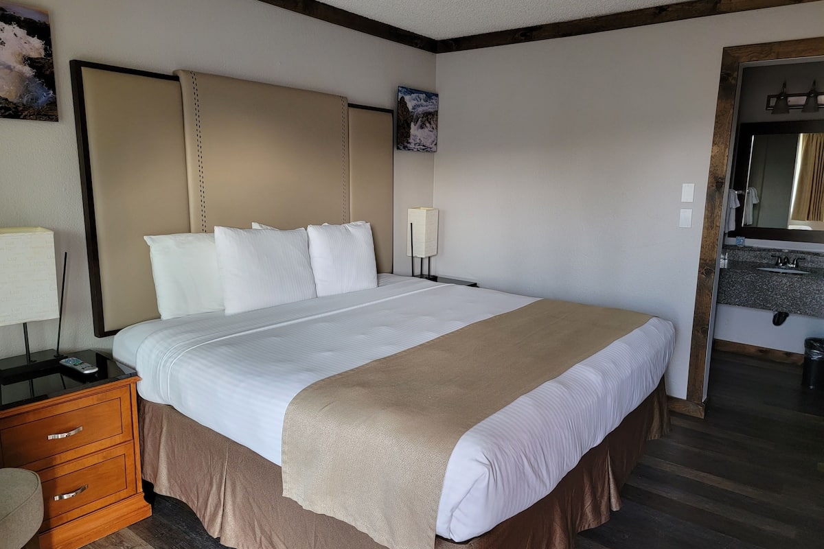standard room, 1 king bed | hypo-allergenic bedding, iron/ironing board, free wifi, bed sheets
