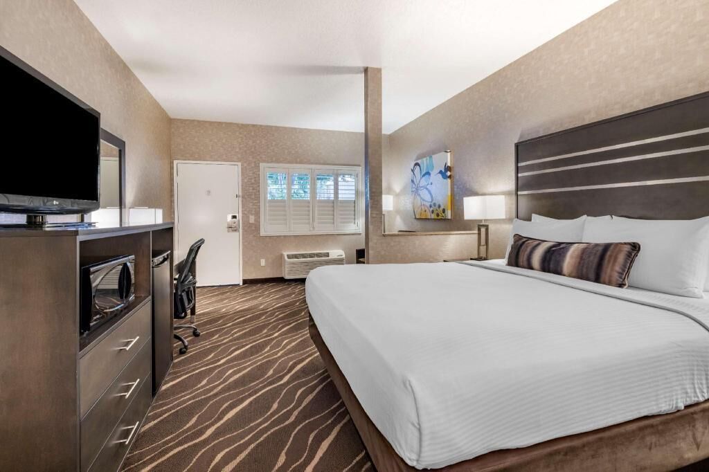 Desk, laptop workspace, iron/ironing board, free cribs/infant beds