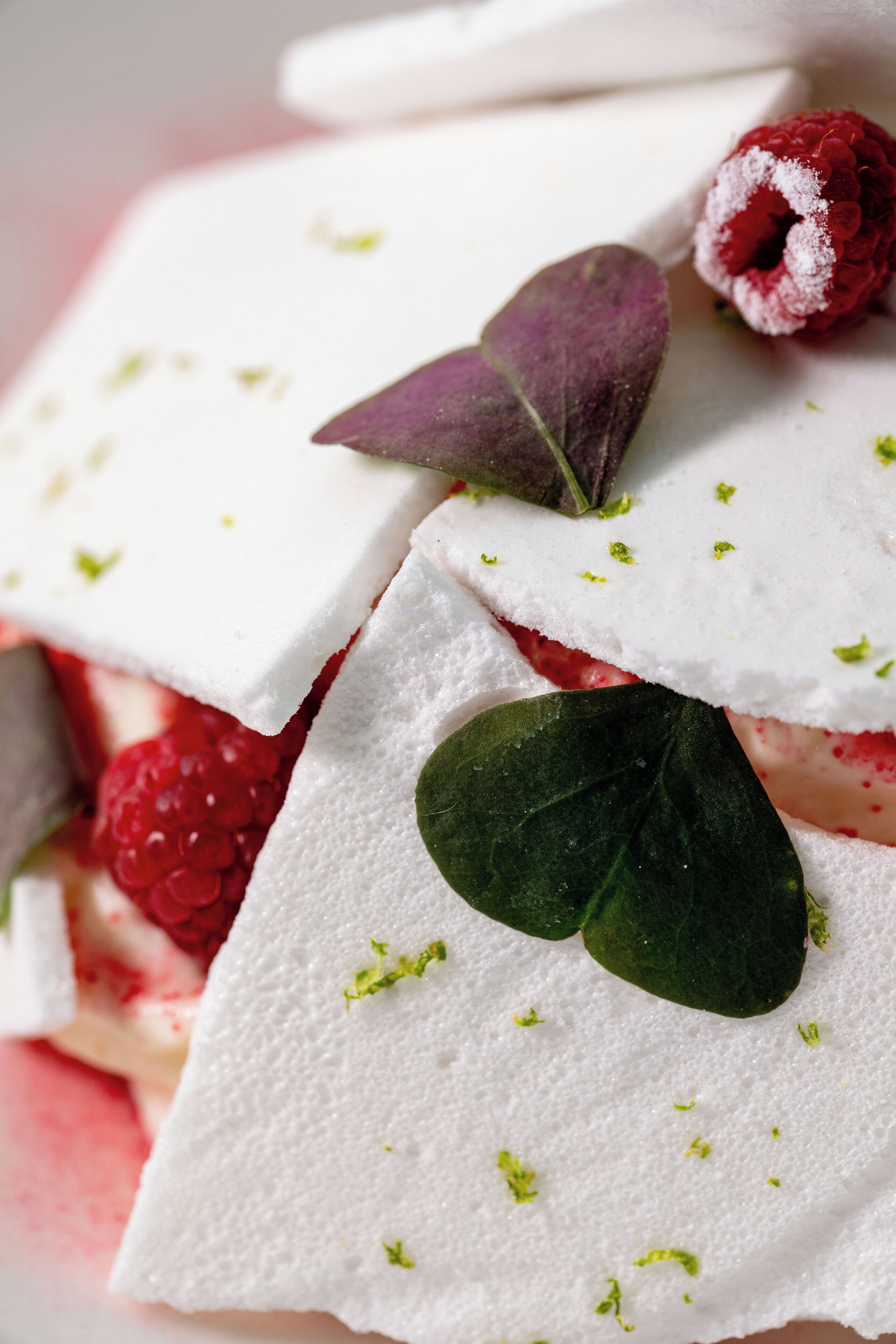 Un dessert composé de mousse blanche, de framboises et de feuilles vertes.