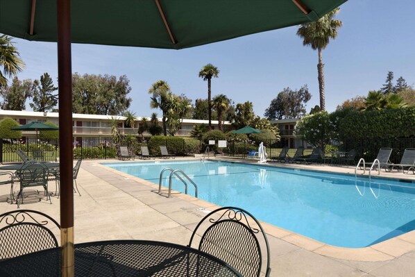 Outdoor pool, pool loungers