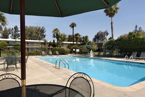 Outdoor pool, pool loungers