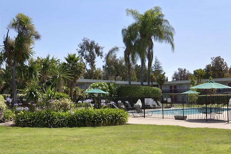 Servicio de la propiedad