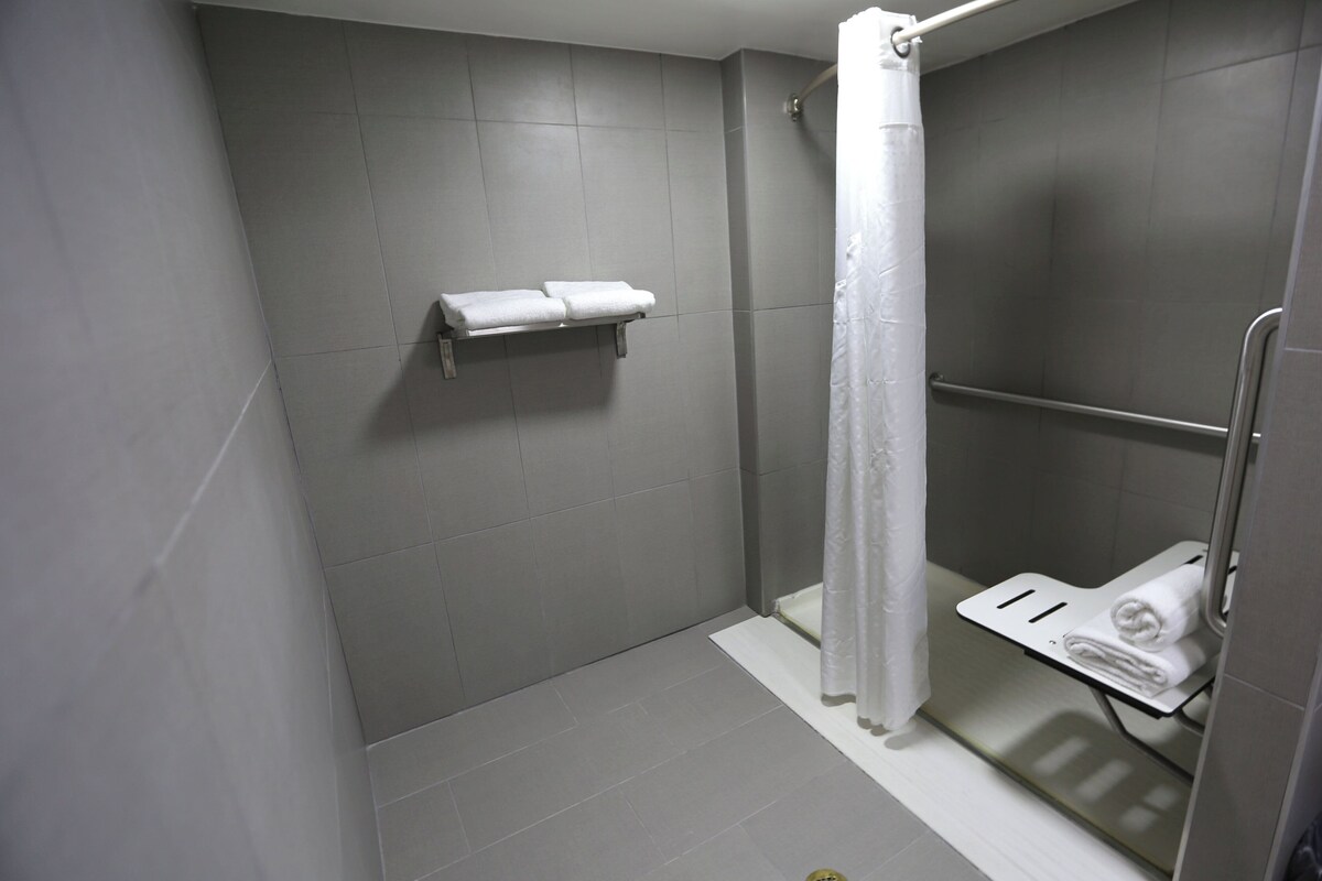 Standard Room, 1 Queen Bed, Accessible (Roll-In Shower) | In-room safe, desk, iron/ironing board, cribs (free)
