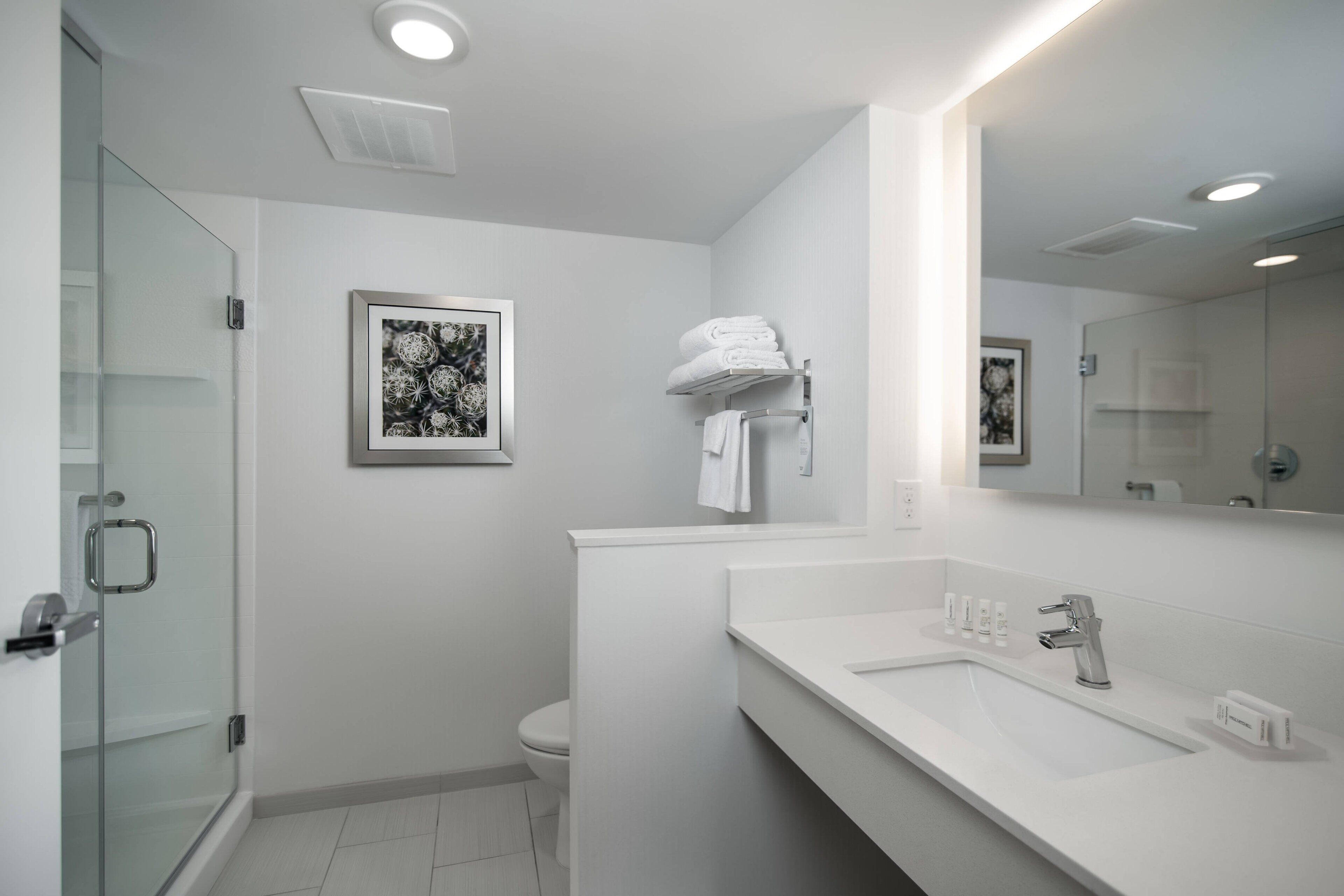 combined shower/bathtub, free toiletries, hair dryer, towels