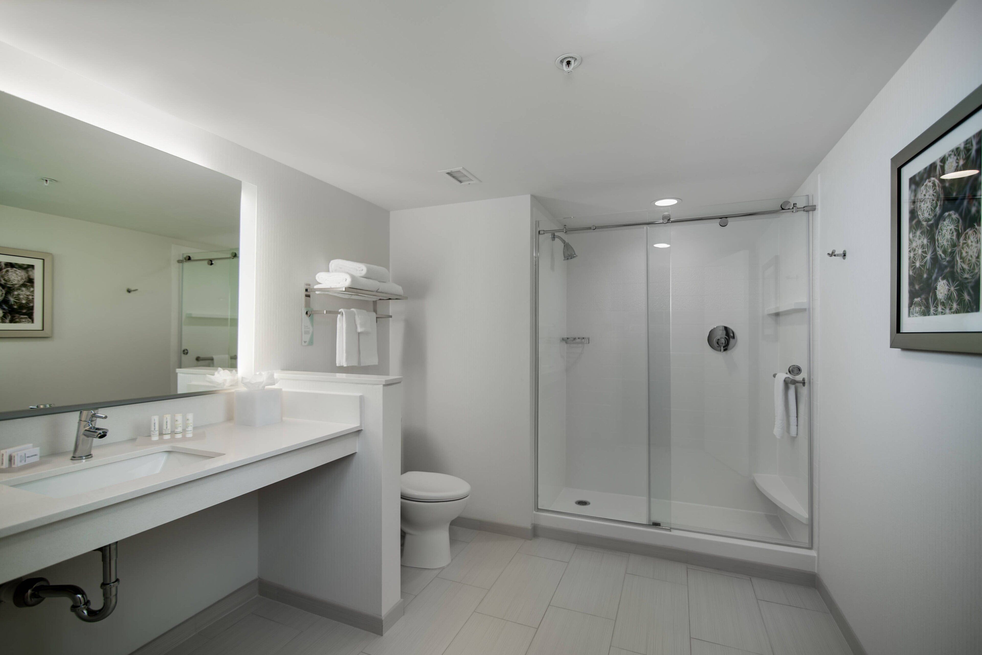 combined shower/bathtub, free toiletries, hair dryer, towels