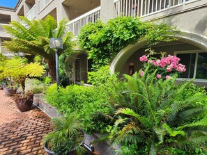 Garden - La Quinta Inn & Suites by Wyndham San Francisco Airport West (Millbrae)