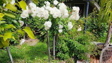 Taman