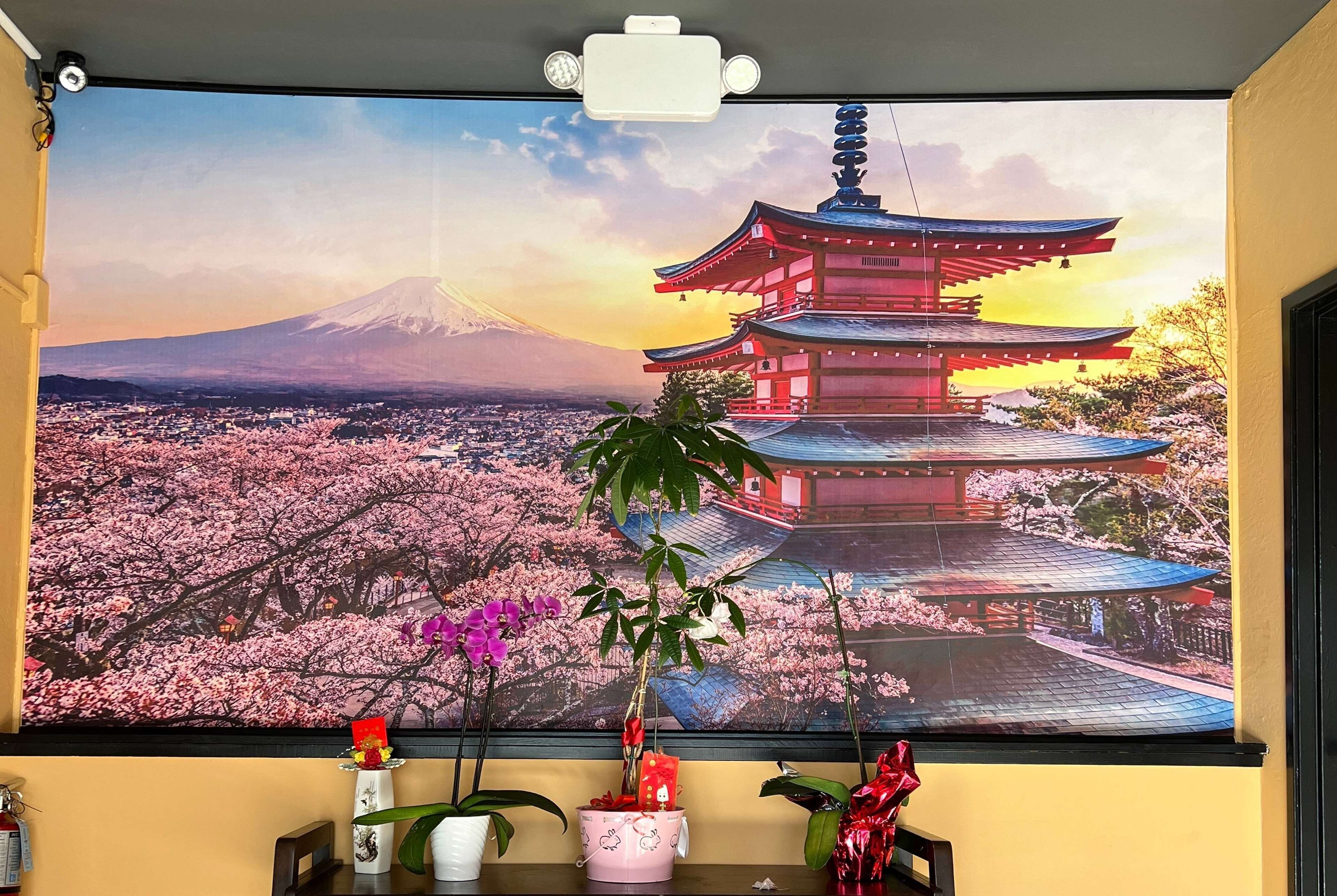 lunch and dinner served