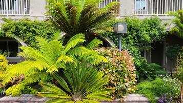 Un jardin luxuriant, avec une variété de plantes, et un chemin de pierre menant à un bâtiment doté d’un balcon.