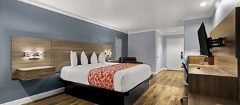 Best Western Moreno Hotel & Suites