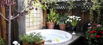 Mount View Hotel & Spa