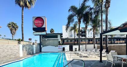 The Dixie Hollywood