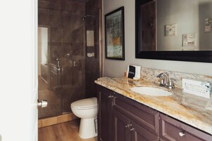 Un bagno moderno con doccia vetrata, un water bianco e un lavabo su un piano in marmo.
