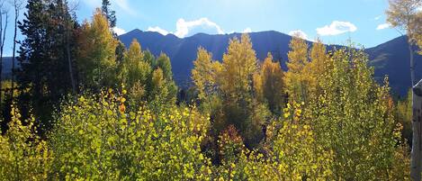 A mountainous landscape with dense foliage in the foreground and a clear sky.