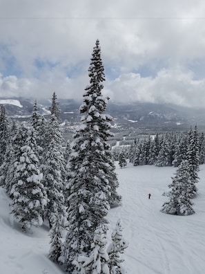 Ski