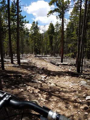 Bicycling