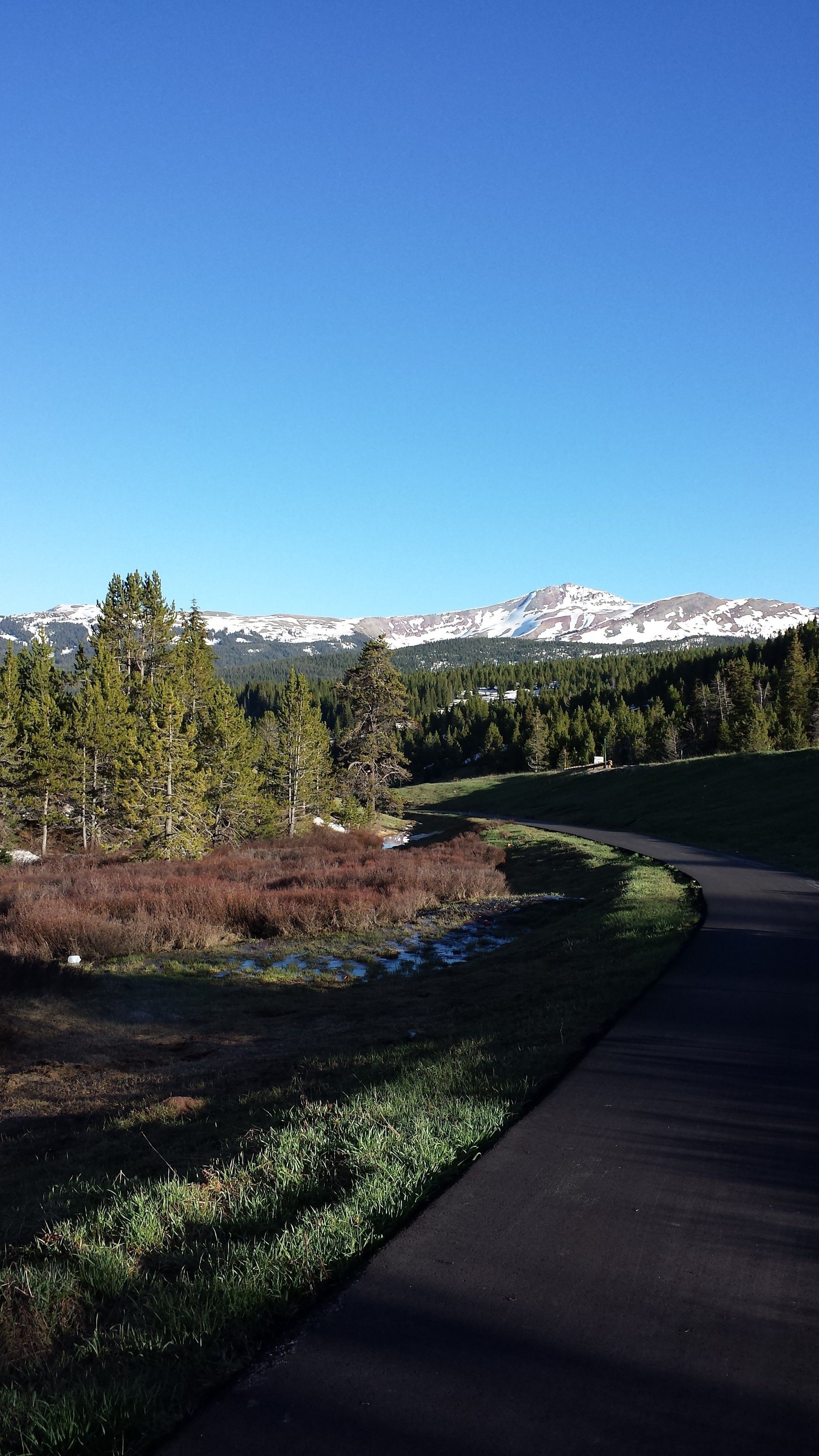Una carretera pavimentada serpentea por un paisaje con cielo azul despejado, una cadena montañosa al fondo y una zona boscosa con picos nevados.