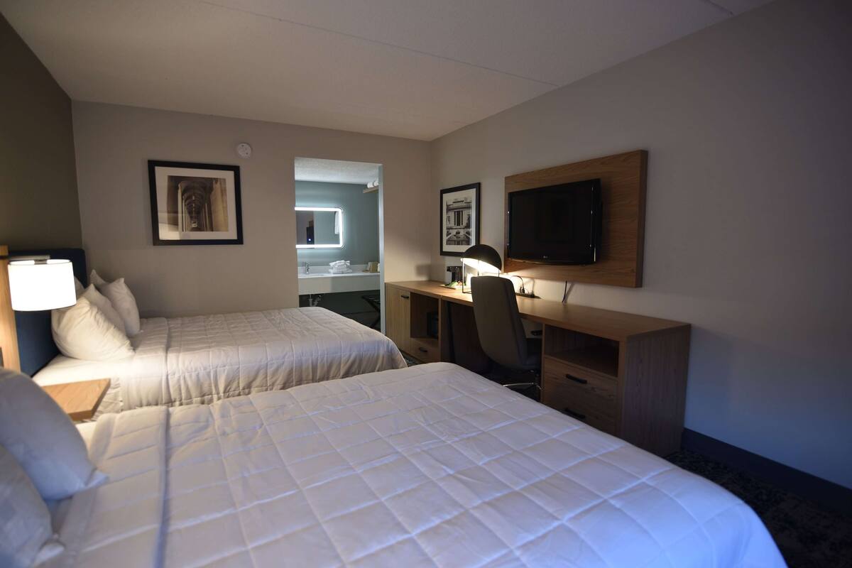 Een hotelkamer met twee bedden, een bureau, een stoel, een televisie en een spiegel.