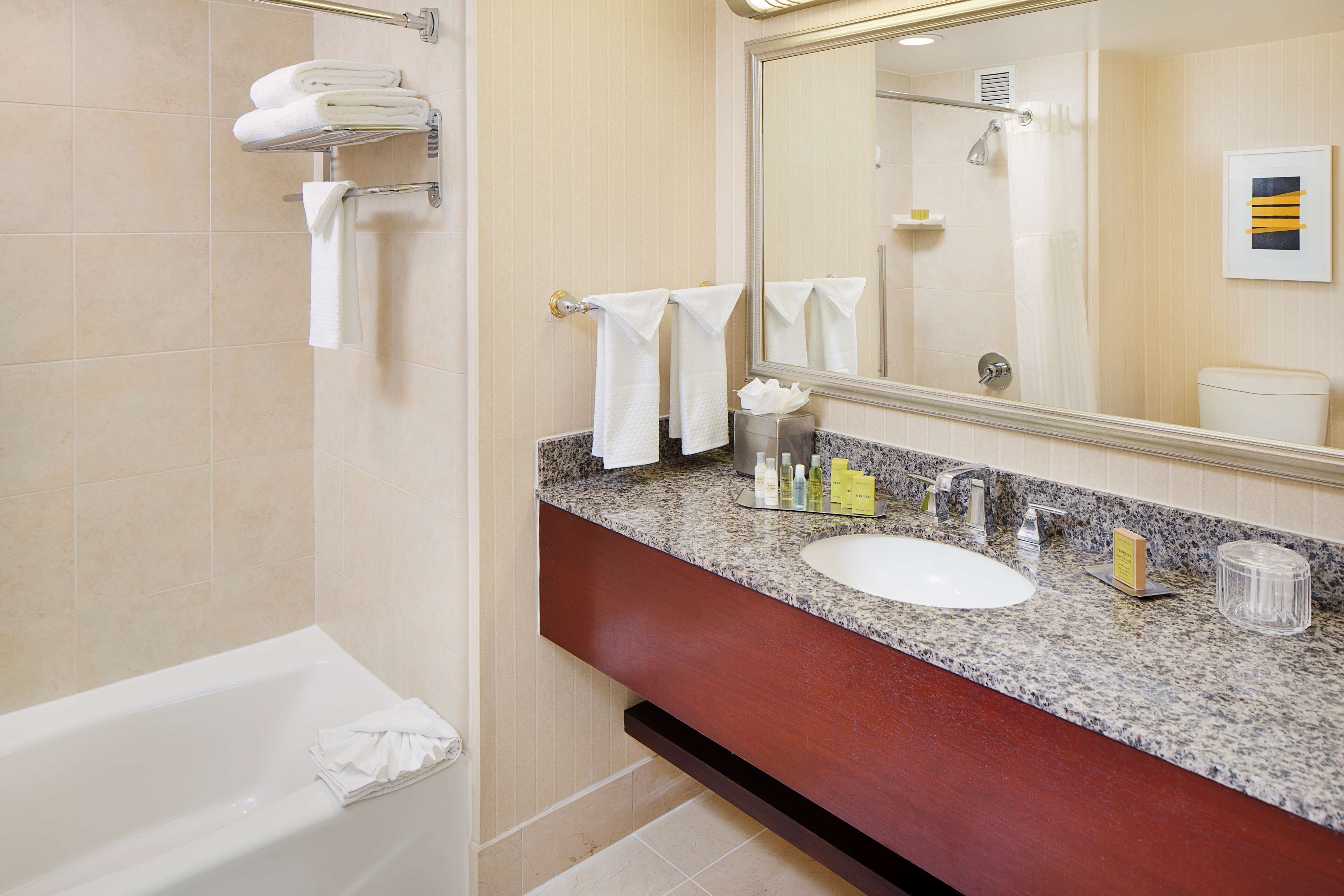 combined shower/bathtub, designer toiletries, hair dryer, towels