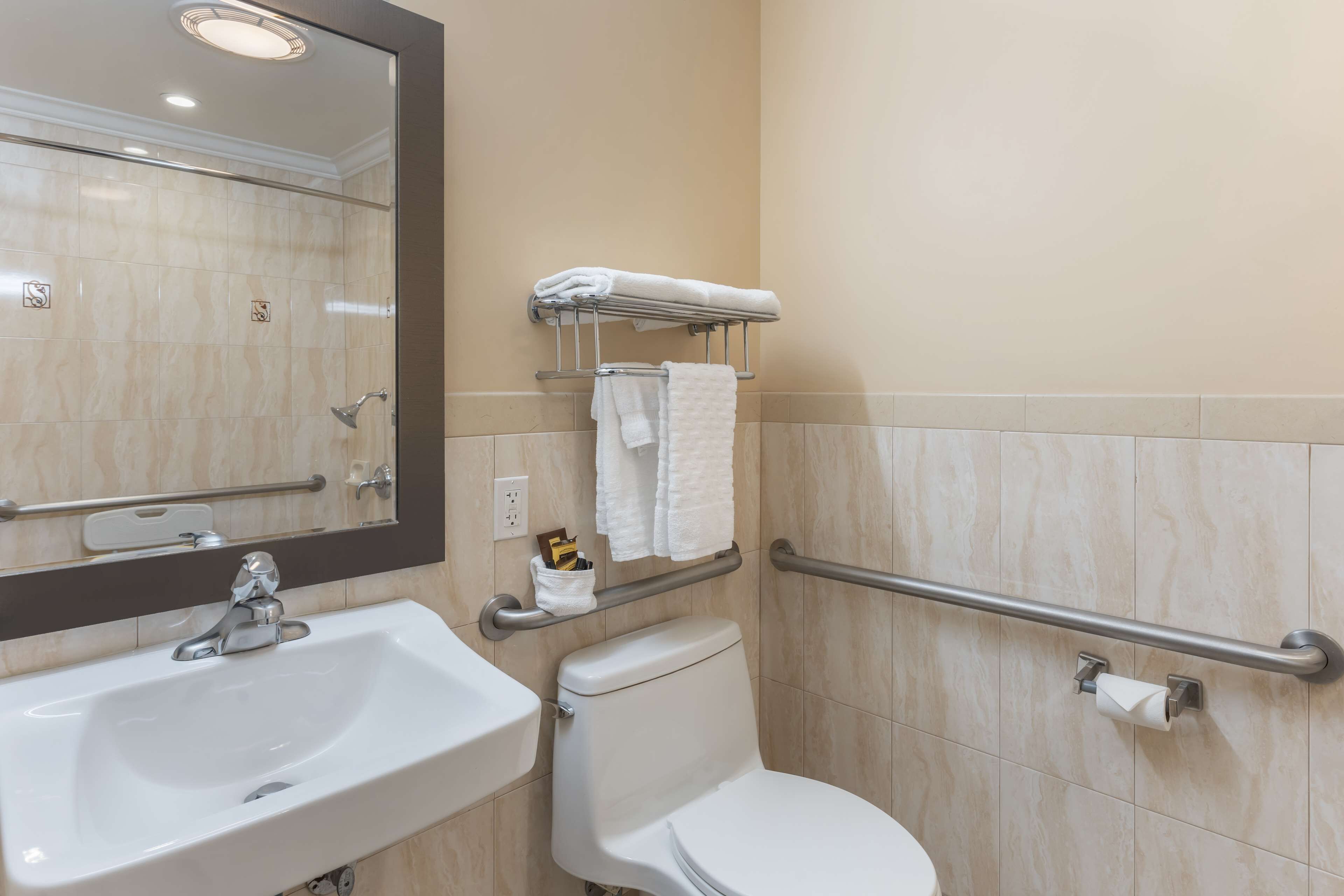 standard room, 1 king bed, accessible, non smoking | accessible bathroom