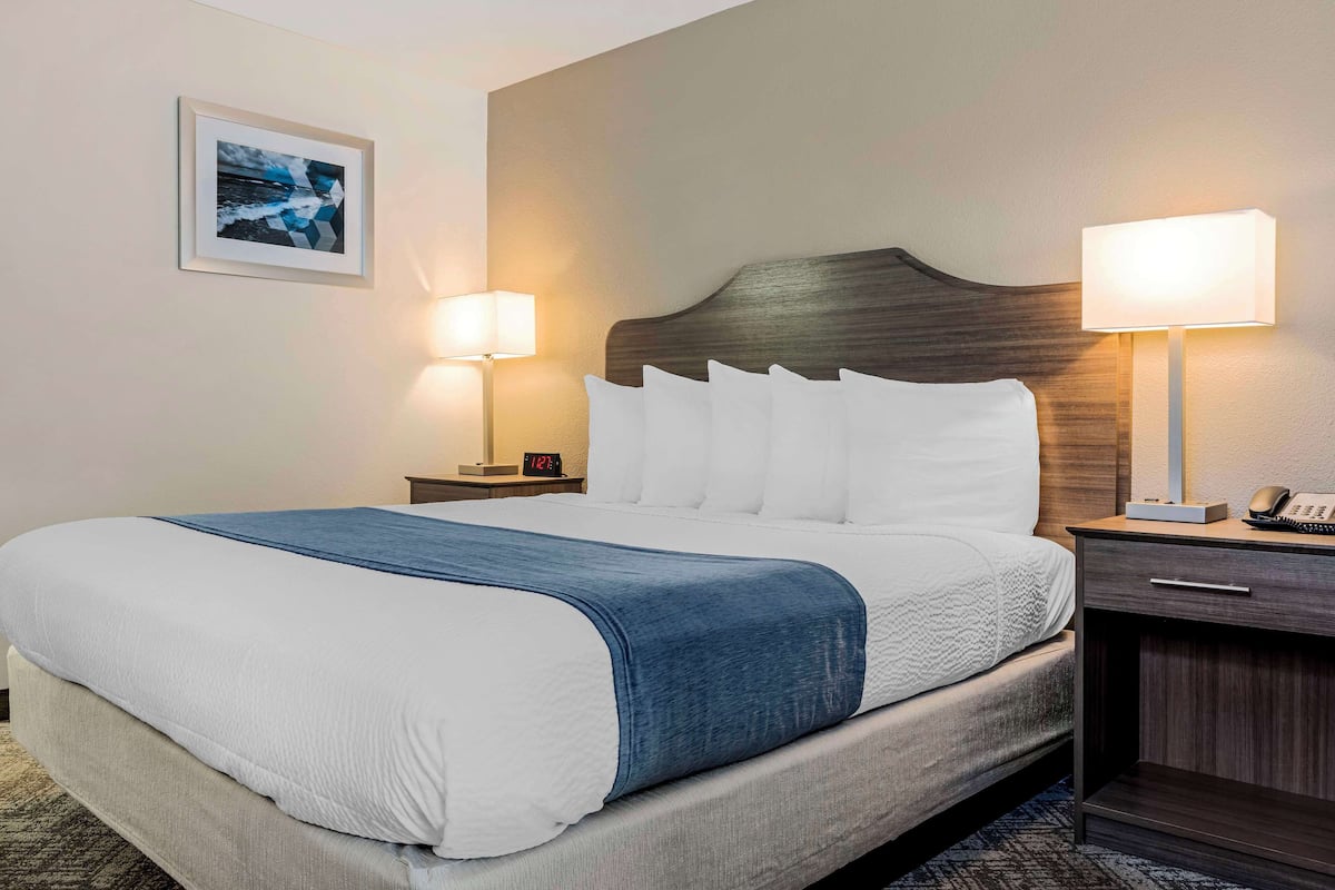 Suíte, 1 cama King, para não fumantes, geladeira e micro-ondas | Roupas de cama premium, escrivaninha, ferros/tábuas de passar roupa