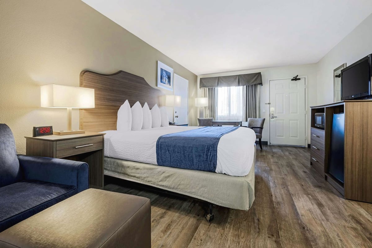 Premium bedding, desk, iron/ironing board, cribs (surcharge)