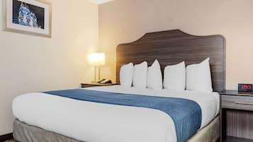 A hotel room with a large bed, a nightstand with a lamp, and a framed picture on the wall.