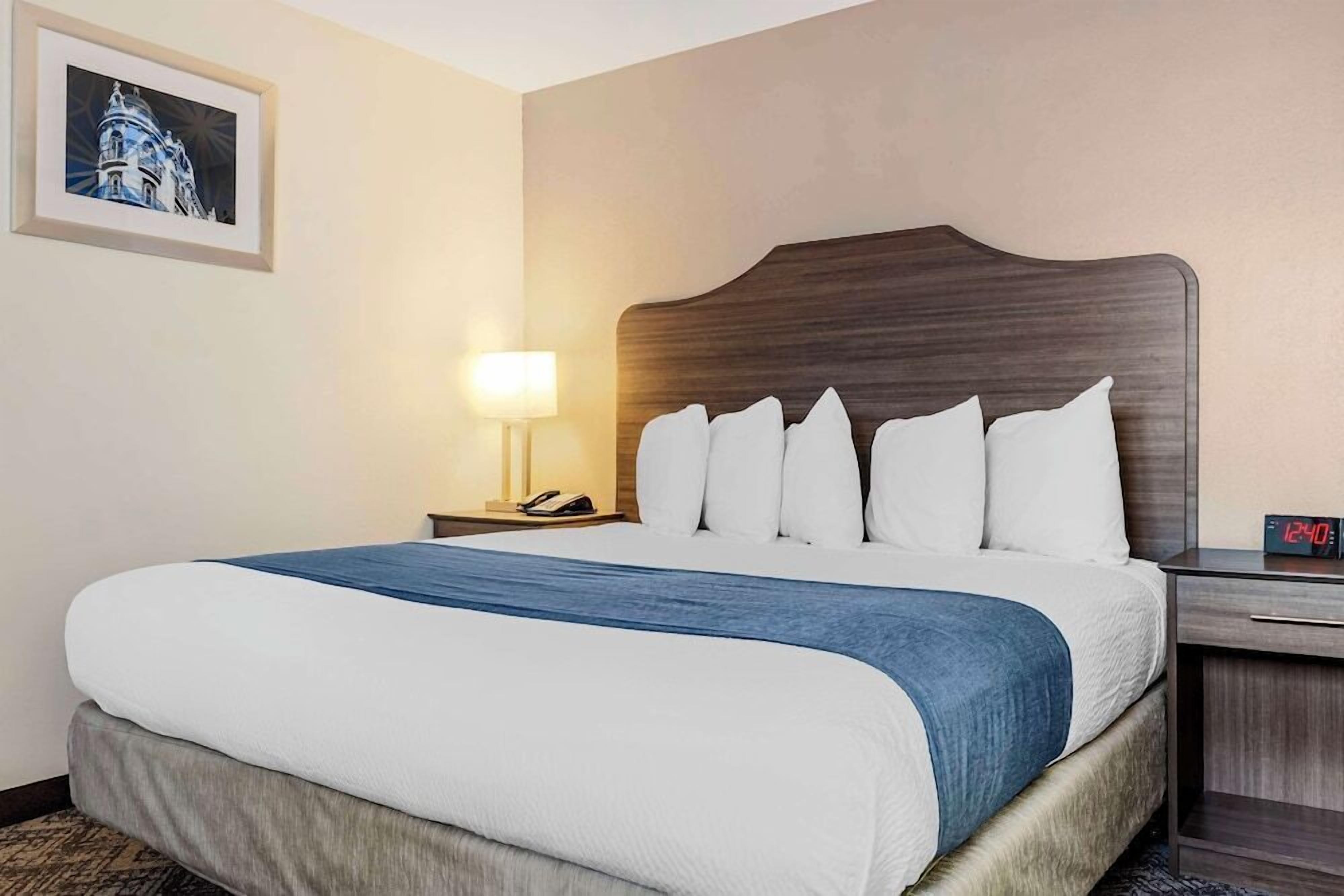 Premium bedding, desk, iron/ironing board, cribs/infant beds
