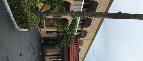 A building with a red-tiled roof, multiple balconies, and palm trees.