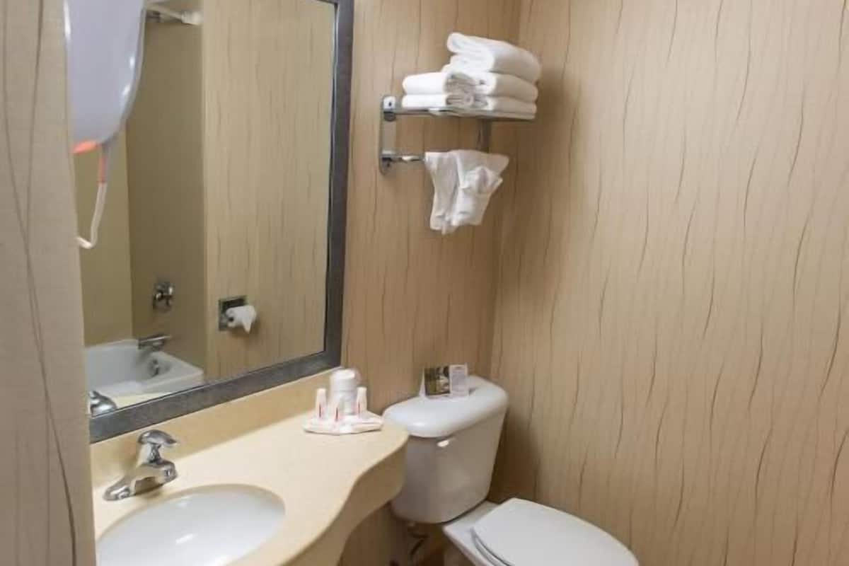 Badezimmer | Umweltfreundliche Kosmetikartikel, Haartrockner, Handtücher, Seife