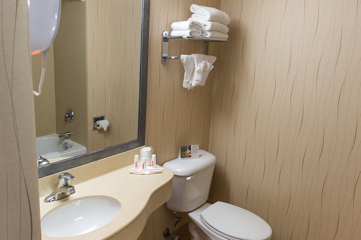 eco-friendly toiletries, hair dryer, towels, soap