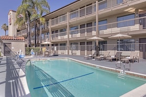 Outdoor pool, sun loungers