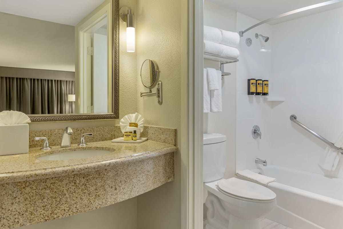 free toiletries, hair dryer, towels, soap