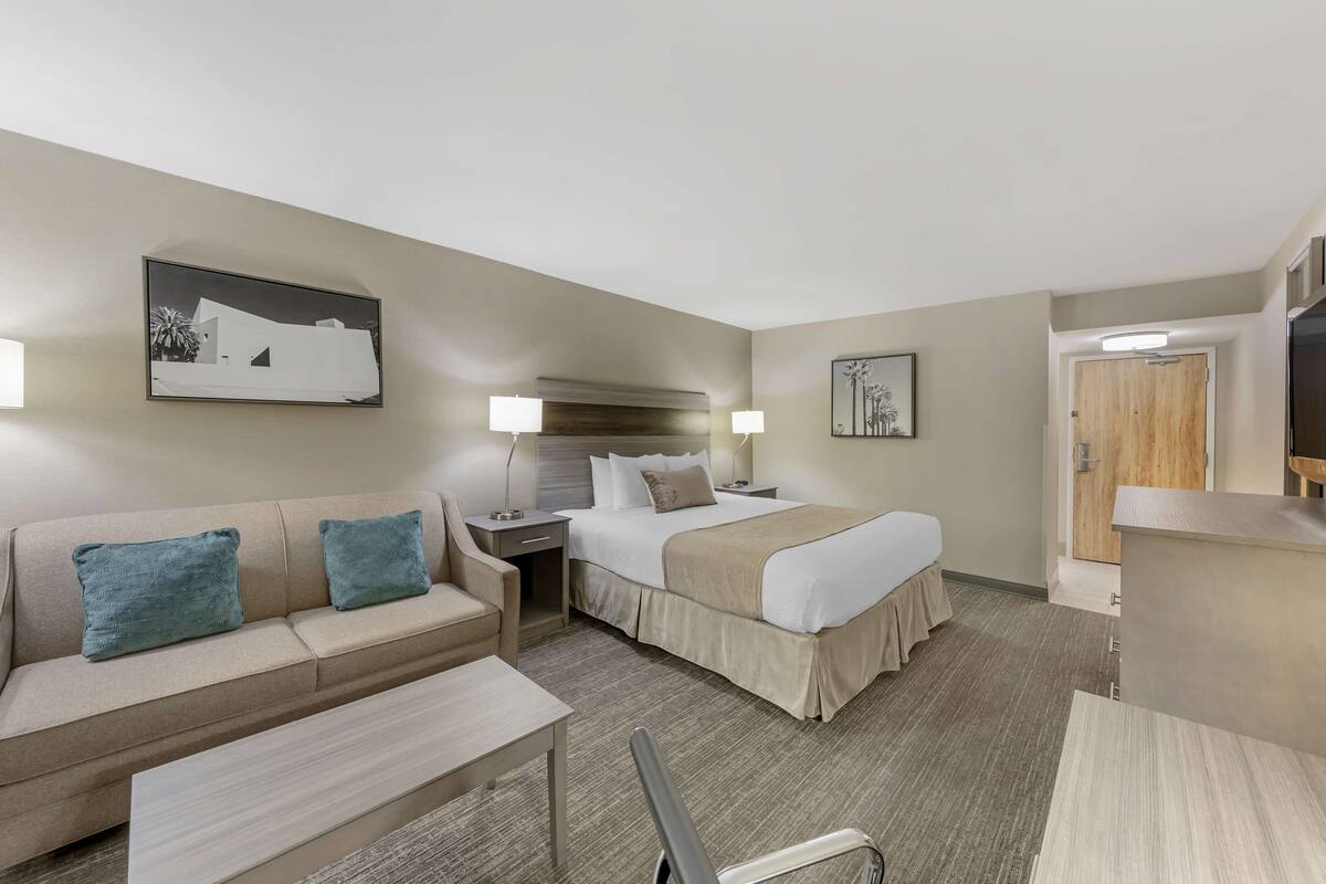 A hotel room with a bed, a sofa, a desk, and a TV.