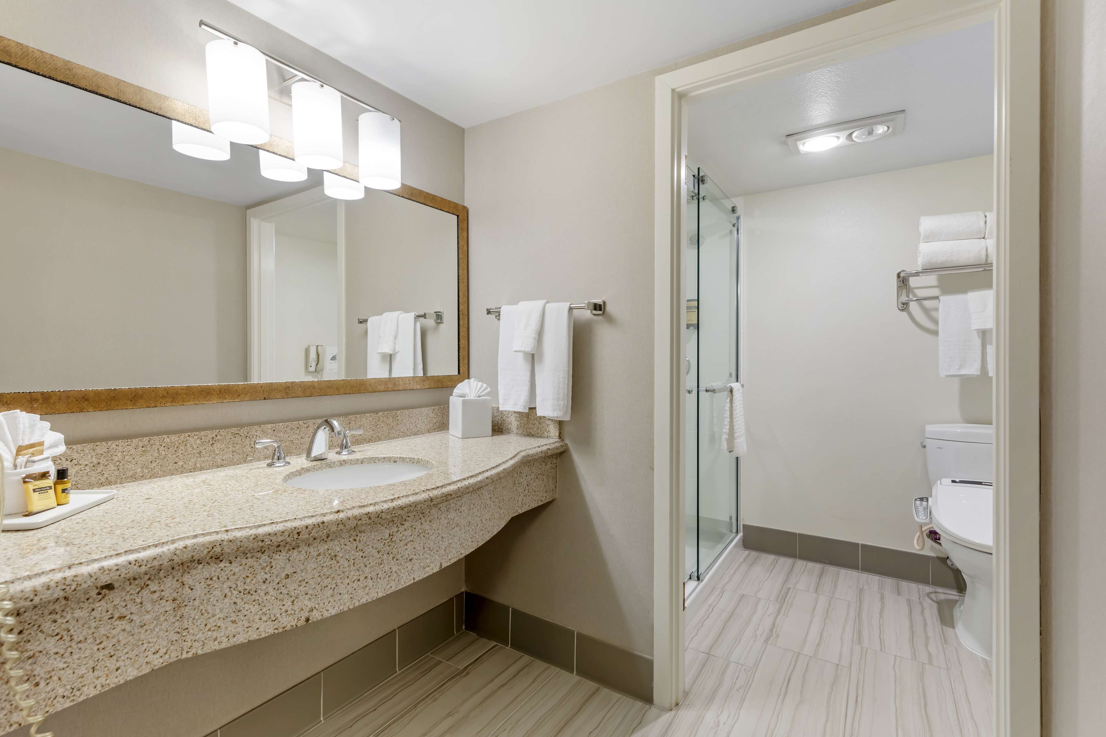 Une salle de bain moderne avec un lavabo surmonté d’un plan de travail en granit, un grand miroir et une douche à parois de verre.