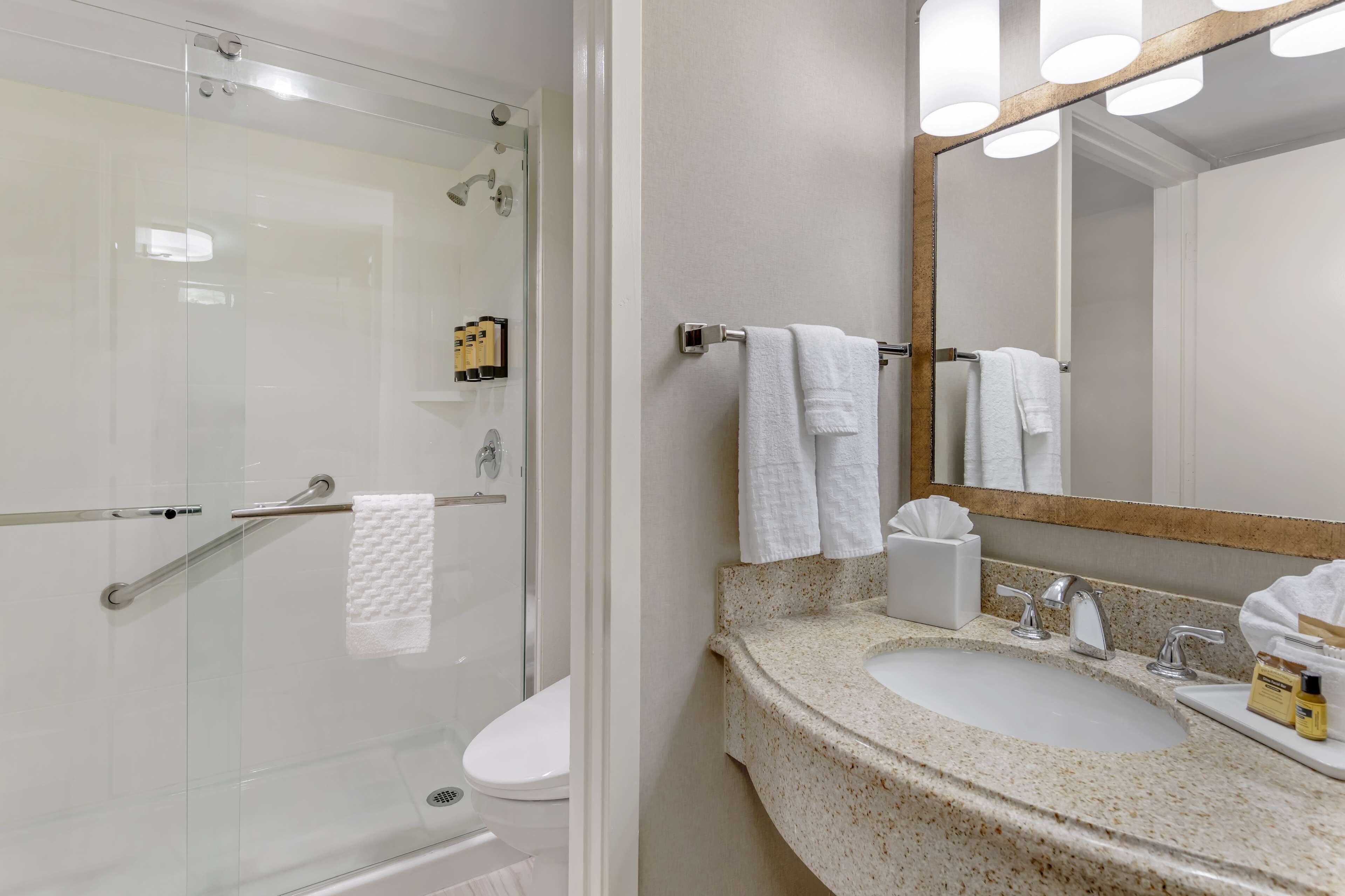 deluxe room, 1 king bed with sofa bed, non smoking, refrigerator & microwave (with sofabed) | bathroom | free toiletries, hair dryer, towels, soap