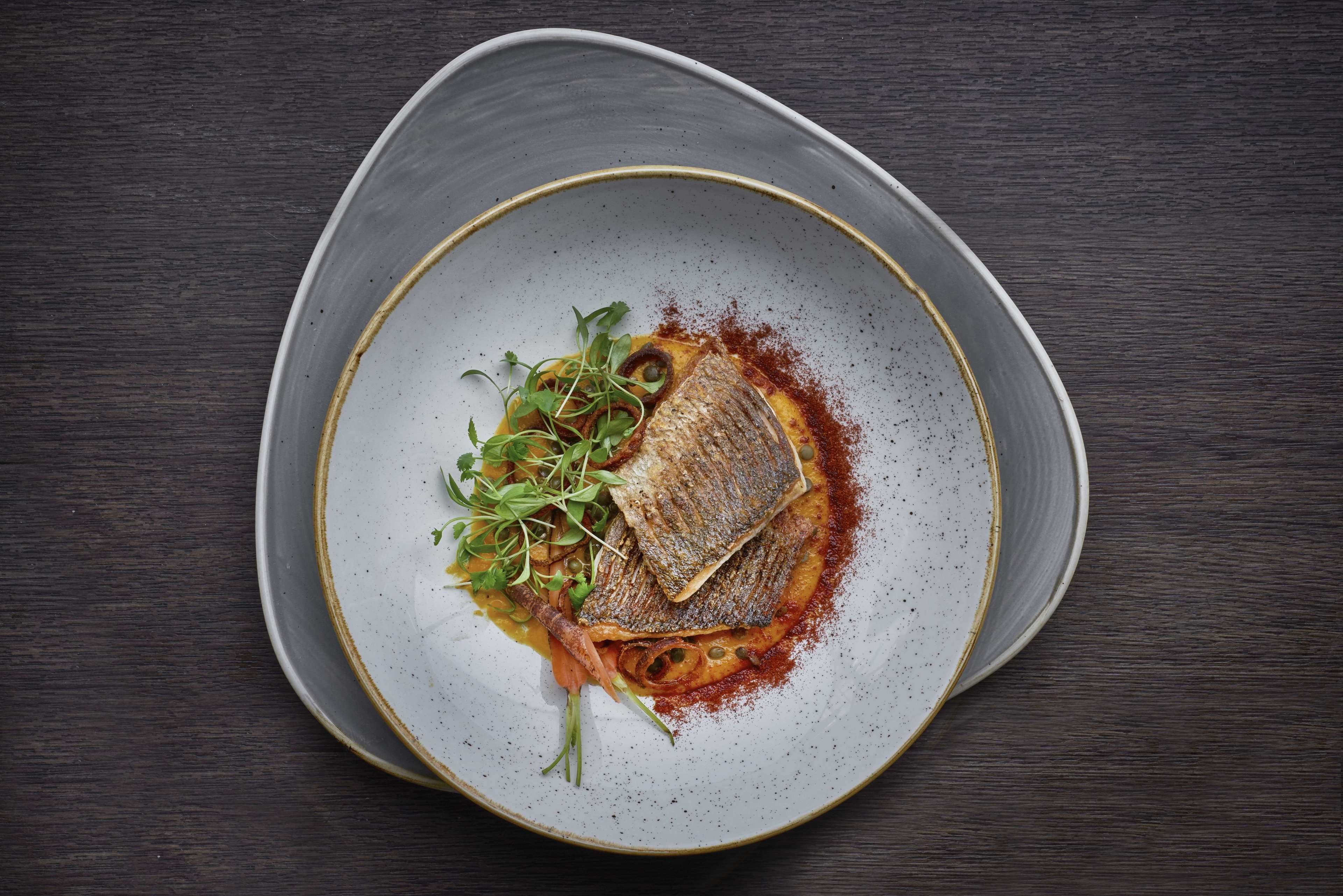 Foto - Norfolk Towers Paddington