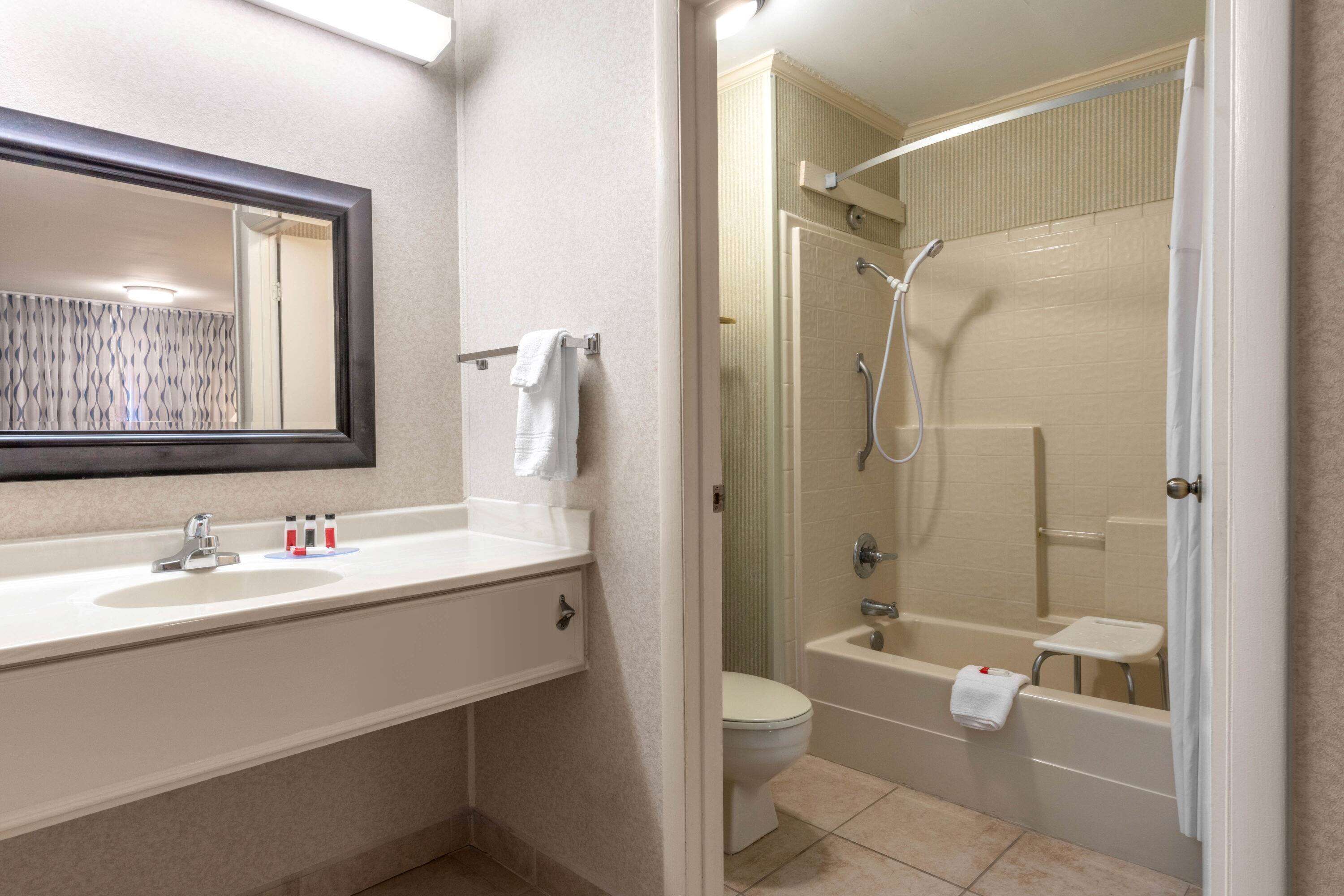 Combined shower/bathtub, free toiletries, hair dryer, towels