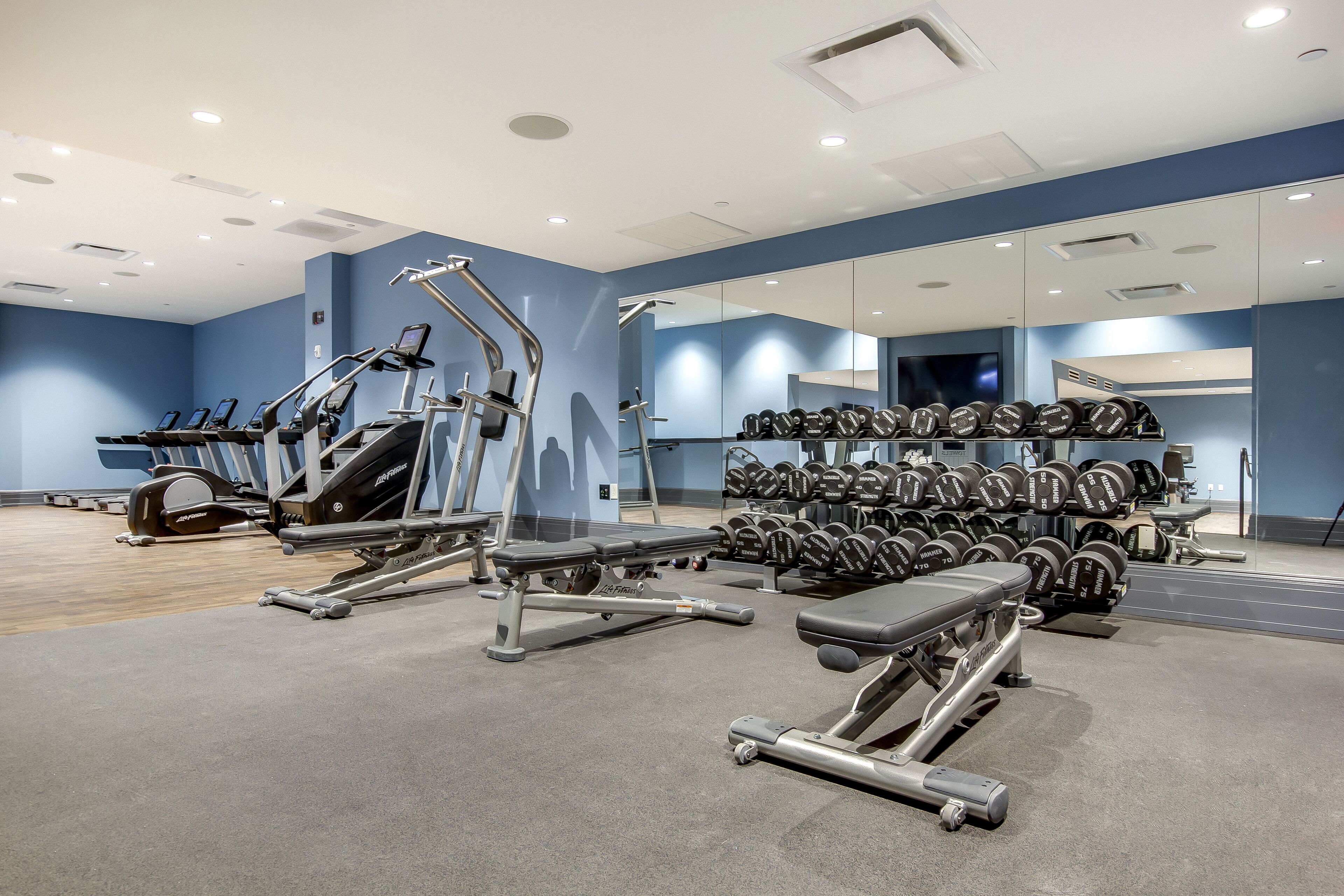 Un gimnasio moderno con máquinas de cardio, bancos de pesas y una estructura con mancuernas.
