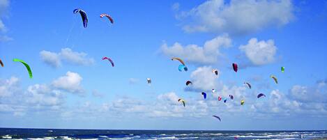 A beach with multiple kites flying in the sky.